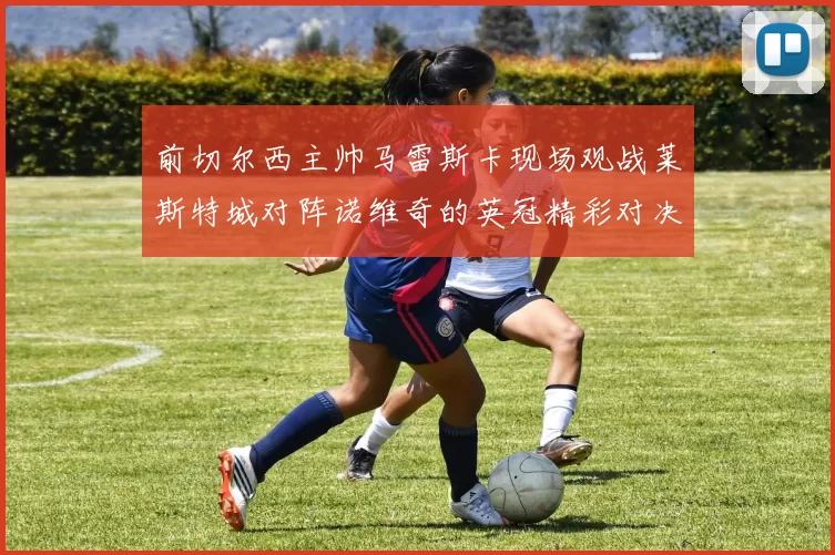 前切尔西主帅马雷斯卡现场观战莱斯特城对阵诺维奇的英冠精彩对决